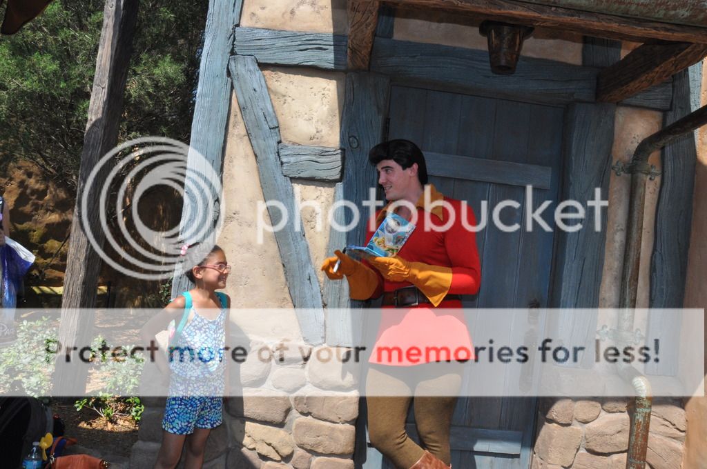 photo wd006wdw201414377865441.jpeg
