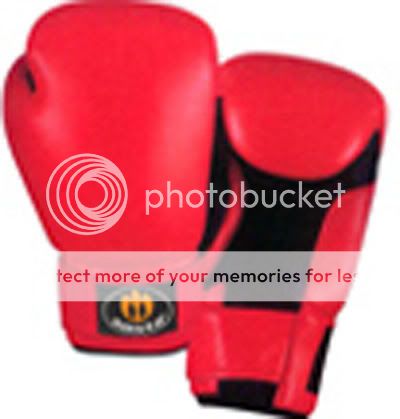 Boxing Gloves (c) aastaind best brand of boxing gloves
