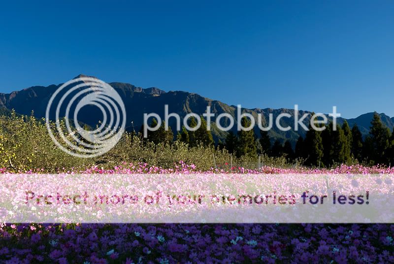 DSC_0574.jpg picture by bettavivi