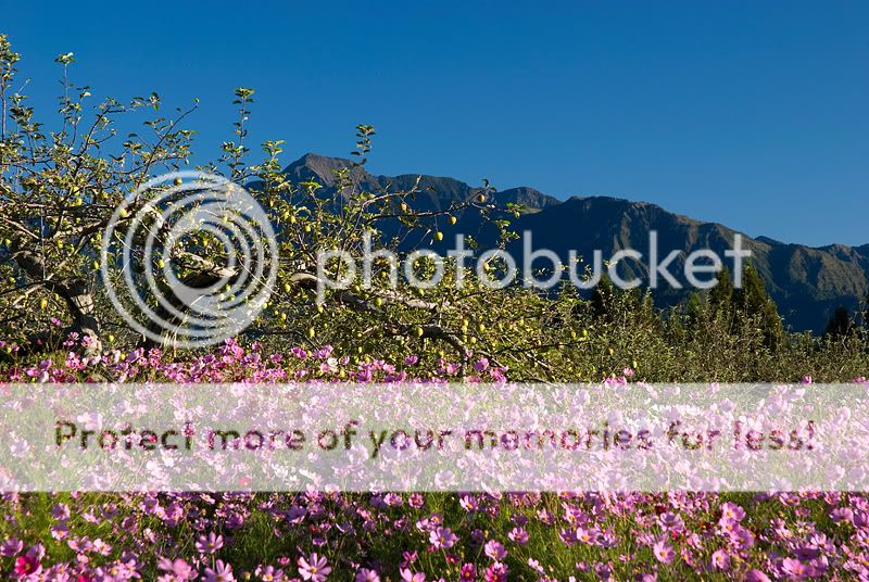 DSC_0576.jpg picture by bettavivi