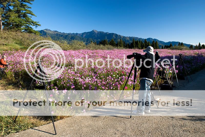 DSC_0604.jpg picture by bettavivi