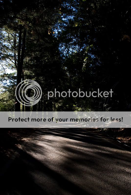 DSC_0608.jpg picture by bettavivi