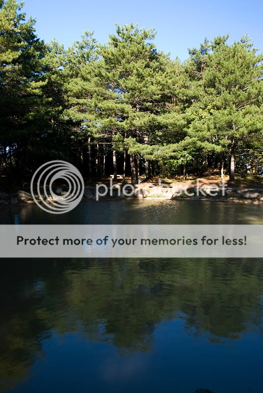 DSC_0611.jpg picture by bettavivi