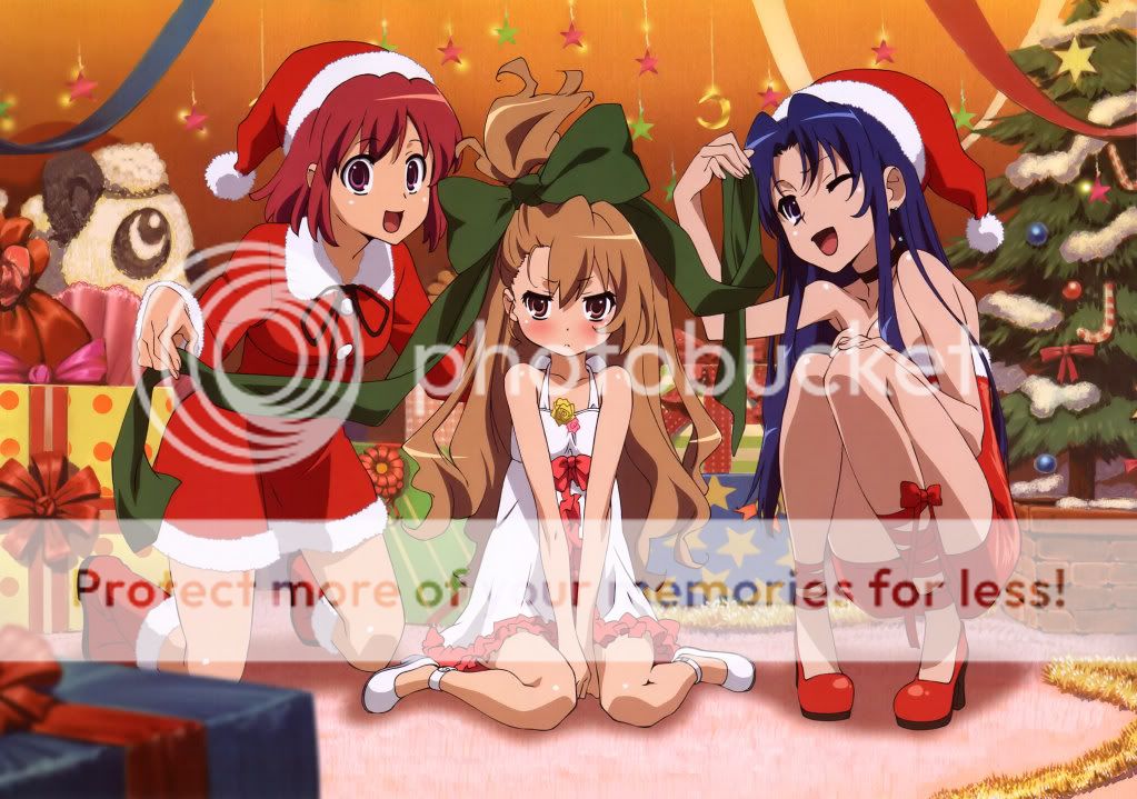toradora.jpg Toradora group image by dinora12