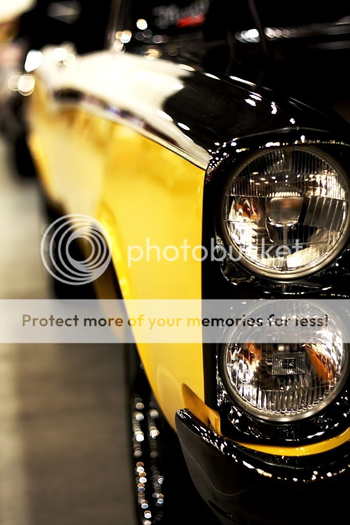 IMAGE: http://i444.photobucket.com/albums/qq163/javig999/IMG_0781.jpg