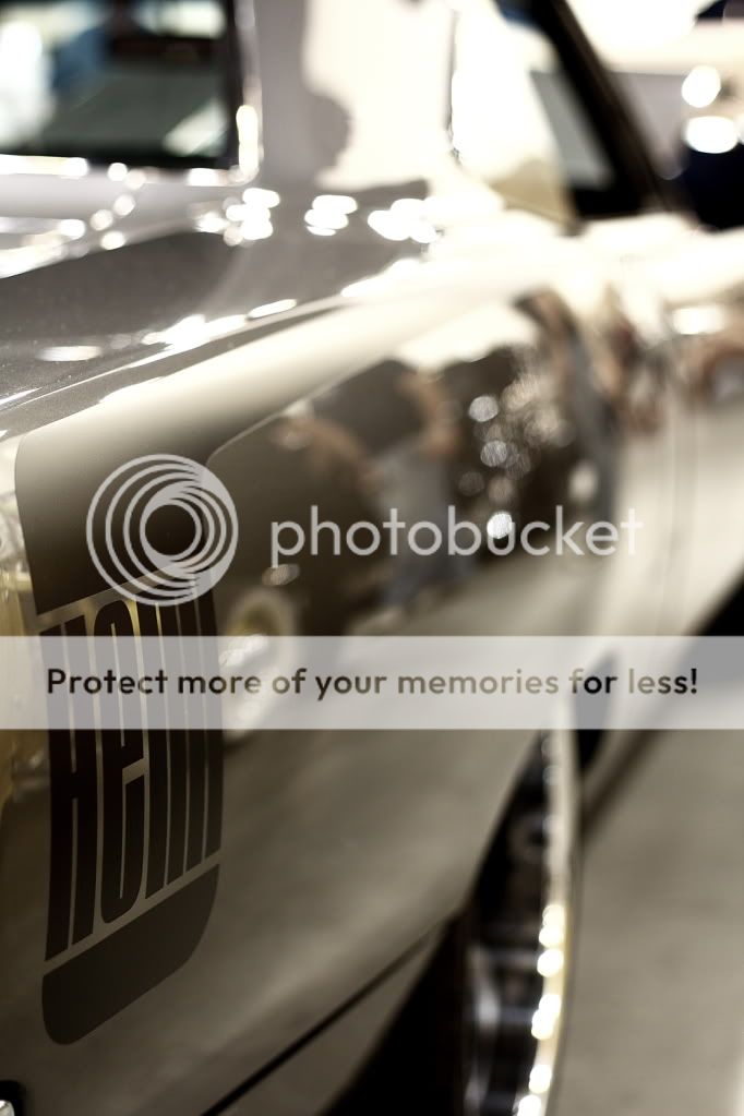 IMAGE: http://i444.photobucket.com/albums/qq163/javig999/IMG_0871.jpg