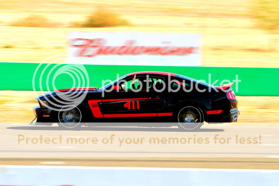 IMAGE: http://i444.photobucket.com/albums/qq163/javig999/IMG_1409.jpg