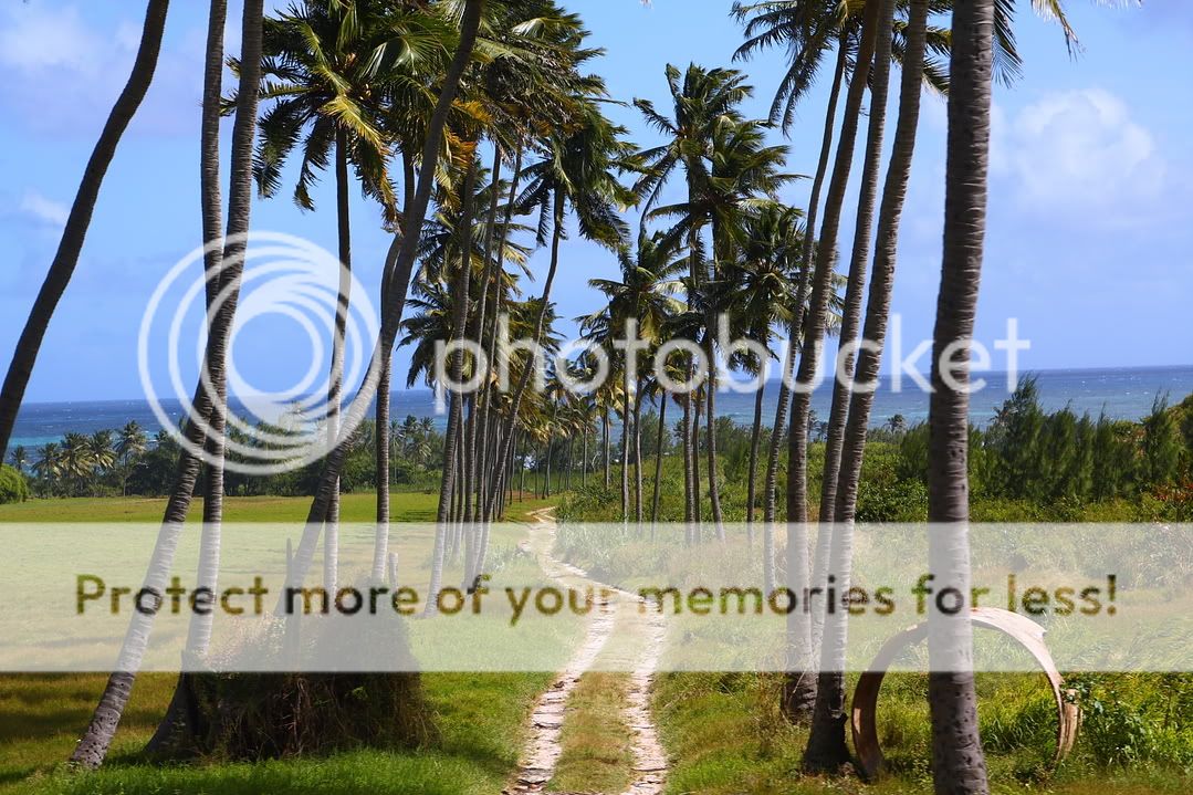 IMAGE: http://i444.photobucket.com/albums/qq163/javig999/IMG_3287.jpg