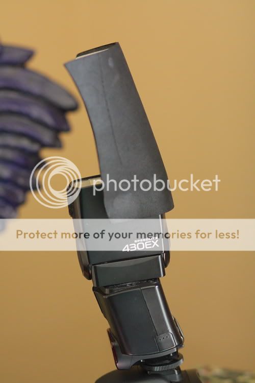 IMAGE: http://i444.photobucket.com/albums/qq163/javig999/IMG_3408.jpg