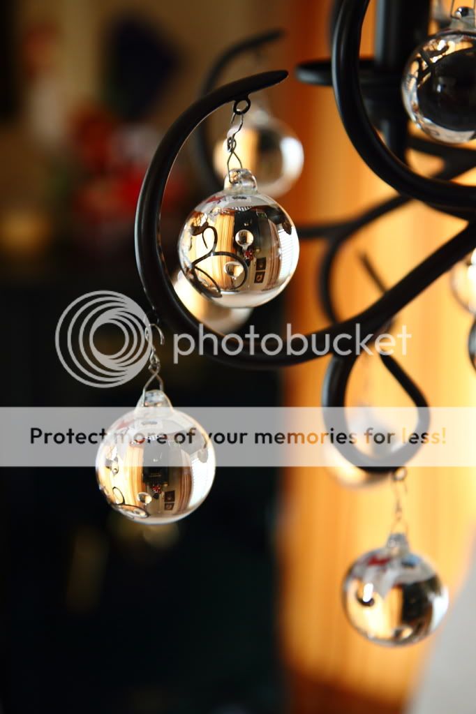 IMAGE: http://i444.photobucket.com/albums/qq163/javig999/IMG_3962.jpg