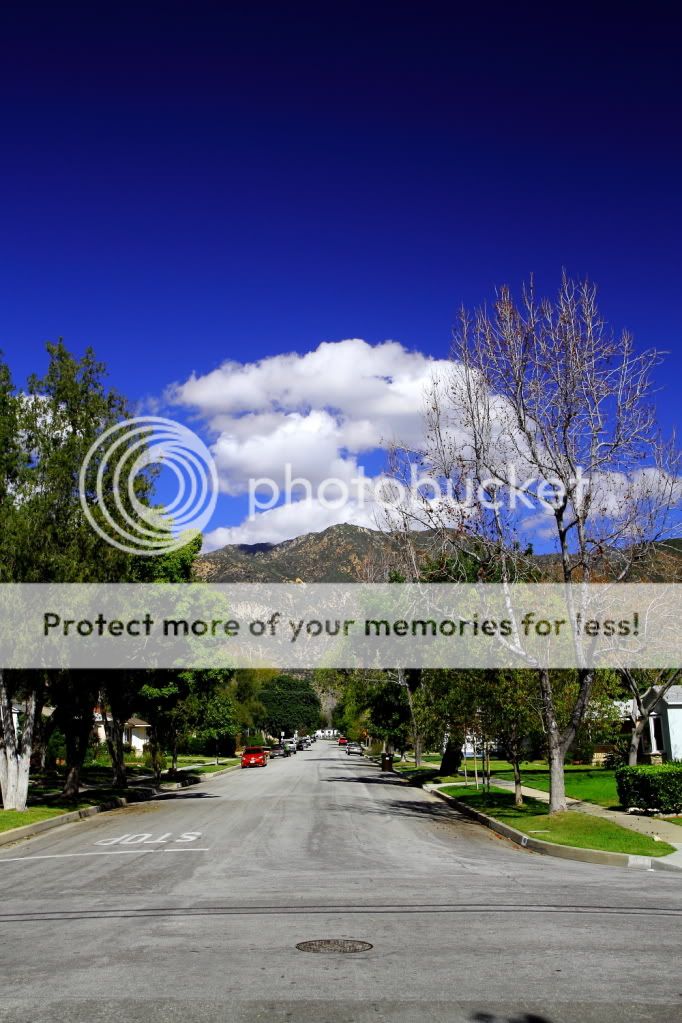 IMAGE: http://i444.photobucket.com/albums/qq163/javig999/IMG_4011.jpg