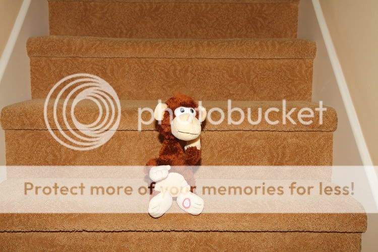 IMAGE: http://i444.photobucket.com/albums/qq163/javig999/IMG_5071.jpg