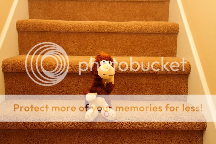 IMAGE: http://i444.photobucket.com/albums/qq163/javig999/IMG_5072.jpg