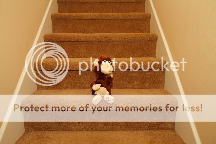 IMAGE: http://i444.photobucket.com/albums/qq163/javig999/IMG_5073.jpg