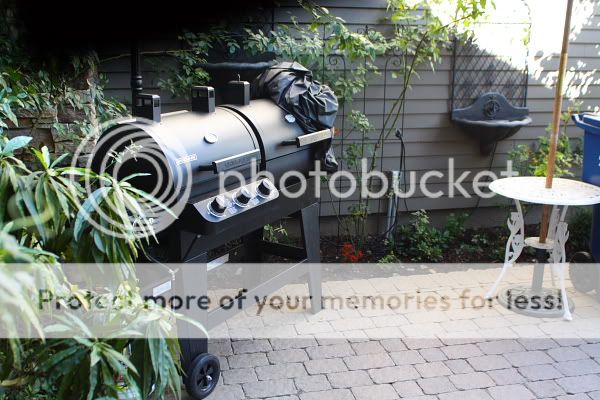 IMAGE: http://i444.photobucket.com/albums/qq163/javig999/IMG_6553.jpg