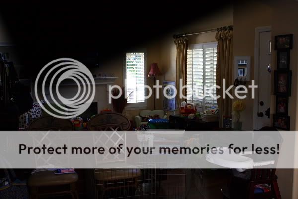 IMAGE: http://i444.photobucket.com/albums/qq163/javig999/IMG_6556.jpg