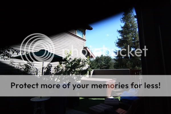 IMAGE: http://i444.photobucket.com/albums/qq163/javig999/IMG_6564.jpg