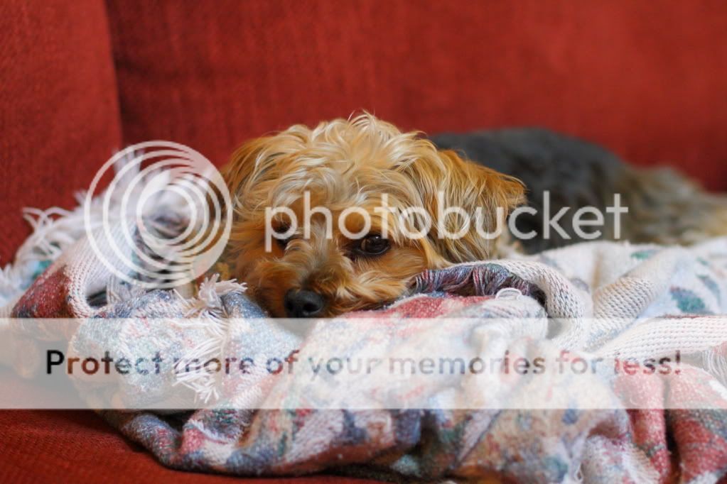 IMAGE: http://i444.photobucket.com/albums/qq163/javig999/IMG_7587.jpg