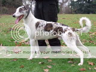 DSCF4770.jpg