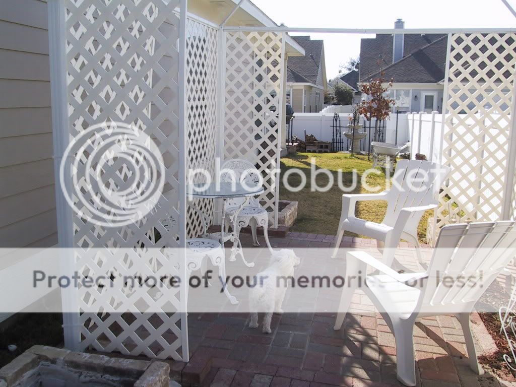 Repurpose Old Gazebo Frame