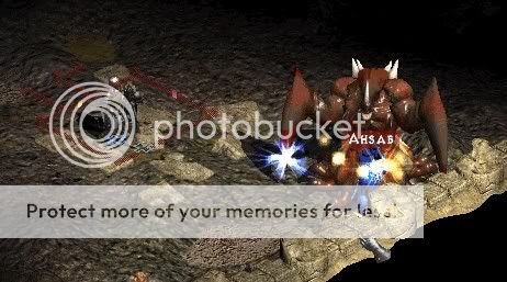 Asp03.jpg