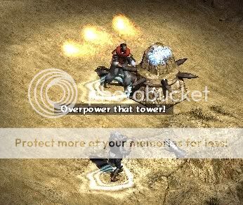 Asp23.jpg