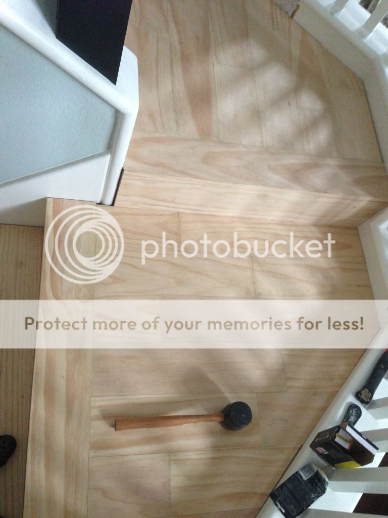 photo IMG_0355_zps5f9fb5b4.jpg