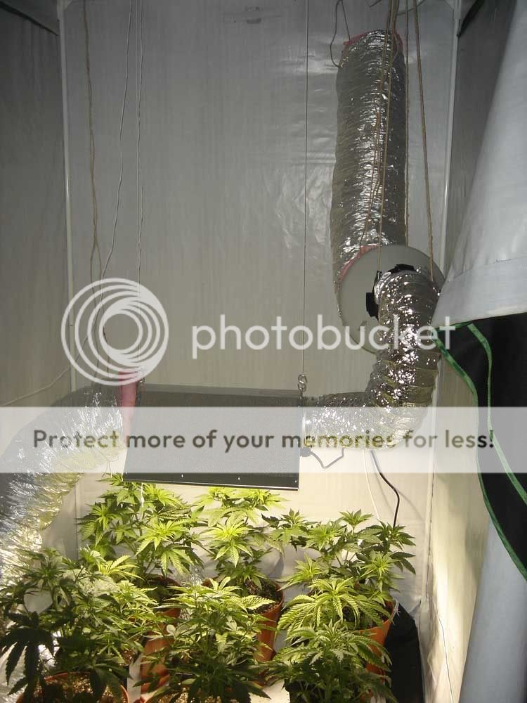 Carbon Filter setup (airflow) Grasscity Forums The 1 Marijuana